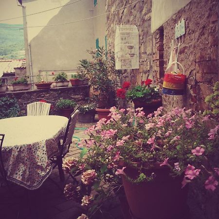 Dimora Toscana Apartment Seggiano Bagian luar foto