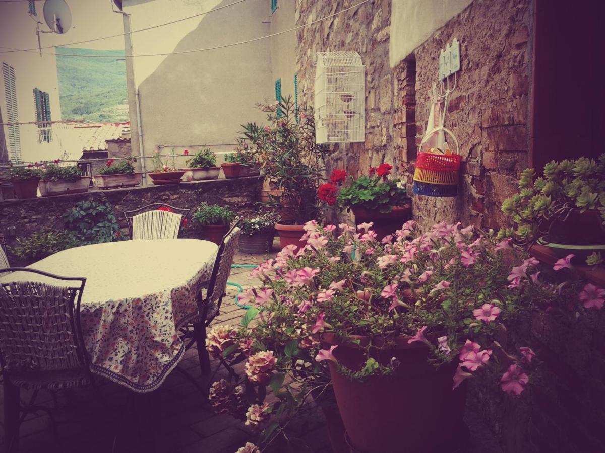 Dimora Toscana Apartment Seggiano Bagian luar foto