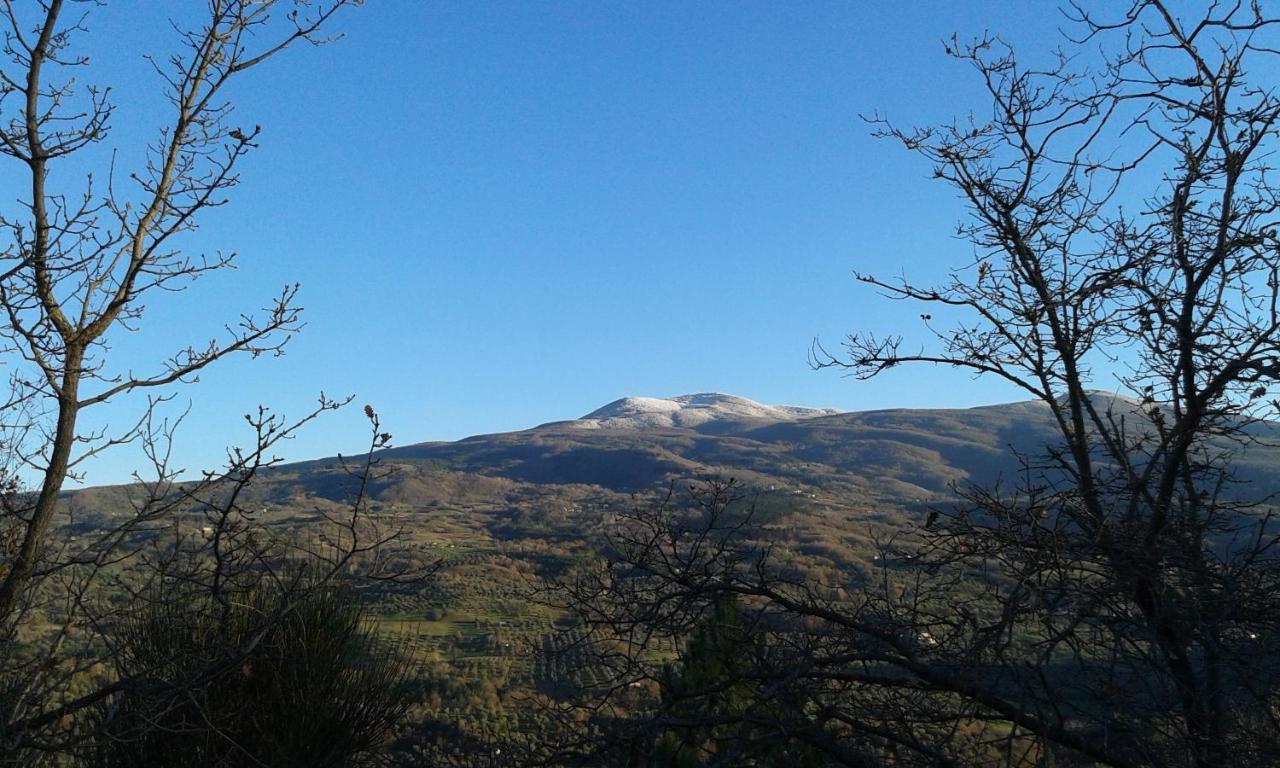 Dimora Toscana Apartment Seggiano Bagian luar foto