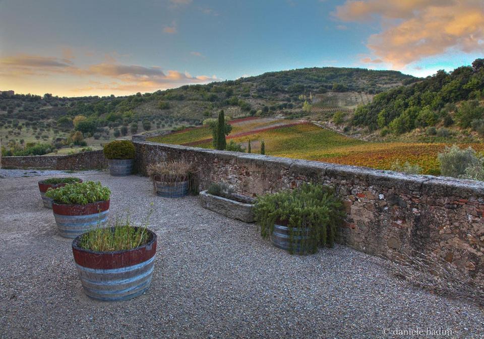 Dimora Toscana Apartment Seggiano Bagian luar foto